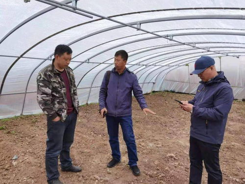 百期網(wǎng)課開新局，科技助農(nóng)譜新篇——市農(nóng)業(yè)科學(xué)院“學(xué)史力行慶華誕”網(wǎng)絡(luò)課堂圓滿結(jié)課